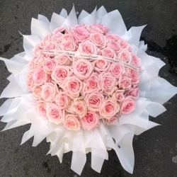 Dear My Love