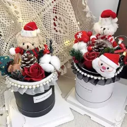 Teddy's Christmas Bloom