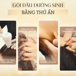 Gội Đầu Dưỡng Sinh gói cơ bản 60-70 phút