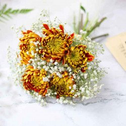 esctacy-bridal.jpg