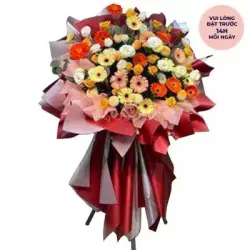 shining glory1.webp