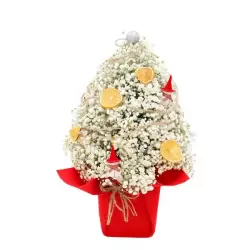 lung-linh.webp
