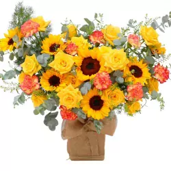 box-rang-ro.webp