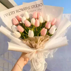 AnyConv.com__tulip 4.webp