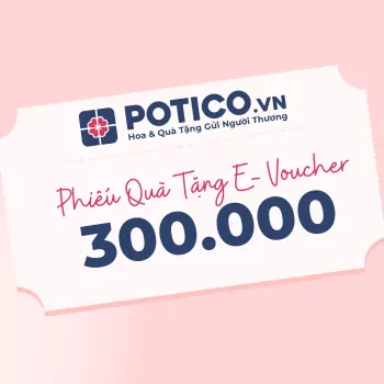 Phiếu Quà Tặng 300,000 VNĐ