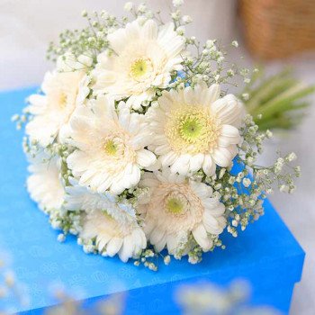 gerberas.jpg