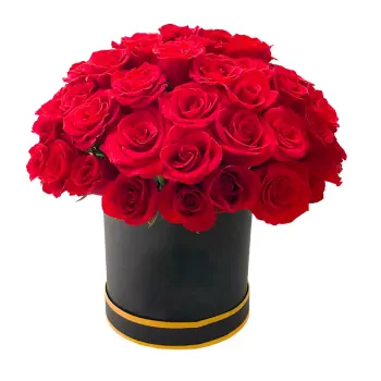 all for love fix.webp