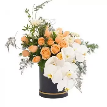 400_fmKWKT97mz97RGHGavUORtWXt.webp