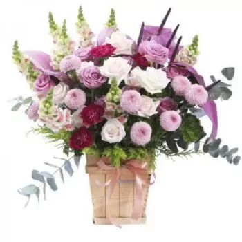 400_LMKGsmBwDhmVnpi7HEX6adiCy.webp