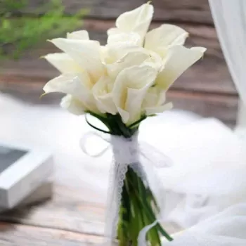 600_f0zFrfaNtxarqPcoO016jtH9J.webp