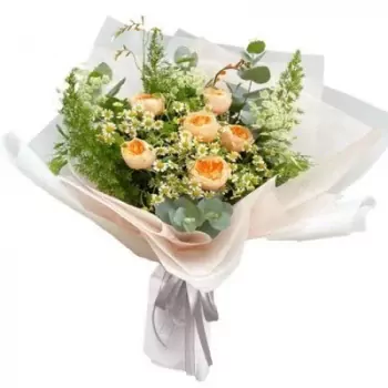 400_xCotRp7QITEJalQRjPVXPlkhz.webp