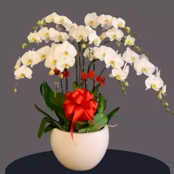 AnyConv.com__1 (1).webp