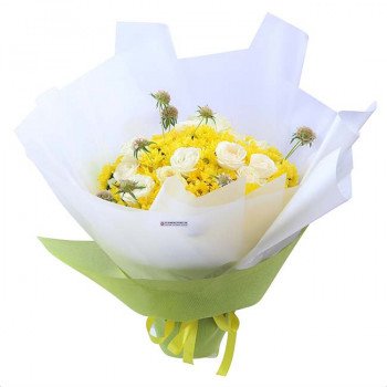 Dear Daisies1.jpeg