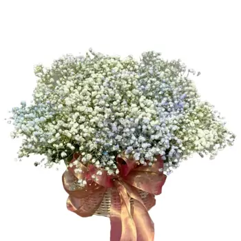 may.webp