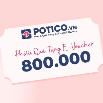Phiếu Quà Tặng 800,000 VNĐ