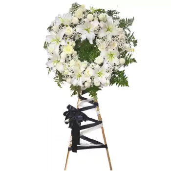 AnyConv.com__Sả chanh (22).webp