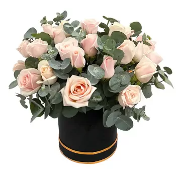 newsize (2).webp
