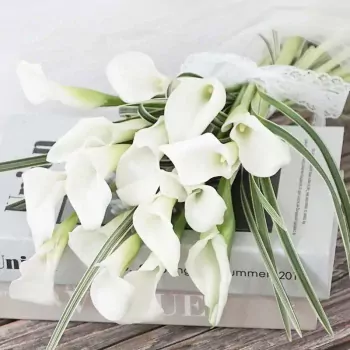 thanh-thuan (1).webp