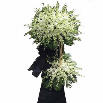 h28.jpg