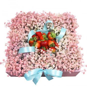 Pinky Strawberry1.jpeg