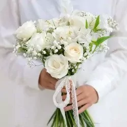 250_xeNhz5UBw4NPZx01S2vimlJQM.webp
