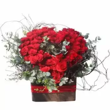 400_RkI44UNWSw68SQcWDniopndTi.webp
