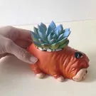 Orange bulldog planter holding a blue-green succulent plant, with a hand on the side.