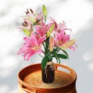 Bouquet of pink lilies in a brown vase on a wicker tray.