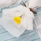 Cơ Bản