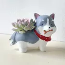 Cute puppy planter with a pink succulent, red bandana, and bone in mouth.