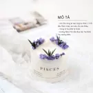 Hộp Quà Nến Thơm Cung Hoàng Đạo - Cơ bản