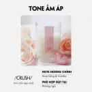 Cơ bản