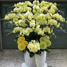 A large pot of 25 bright yellow phalaenopsis orchids with decorative fans.