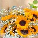 Bouquet of sunflowers and baby's breath.