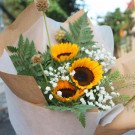 A bouquet of sunflowers, baby's breath, and greenery wrapped in brown paper.