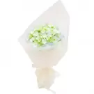 A bouquet of light green and blue hydrangeas wrapped in sheer white paper, tied with a cream ribbon.