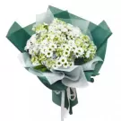 Bouquet of white hydrangeas, daisies, and other flowers in green and white wrapping paper with white ribbons.