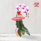 Pink and white orchid plant with "Happy New Year" sign in a peach pot.