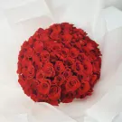 A large bouquet of 99 red roses, beautifully arranged and wrapped in white paper.
