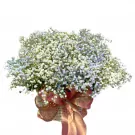 A white baby's breath bouquet in a basket, adorned with a pink ribbon.