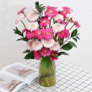 Pink and white gerbera daisies in a glass vase.