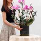 Woman holding a black box with purple orchids and decorative balls.
