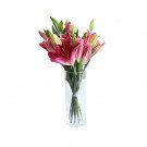 Bouquet of pink and yellow lilies in a clear glass vase.