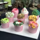 A collection of nine colorful cupcakes with various frosting designs, presented in pink polka-dot wrappers.