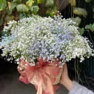 Basket of white and light blue baby's breath flowers with a rustic ribbon.