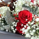 Red roses, baby's breath, pinecone, and dusty miller in a bouquet.