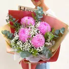 Pink Chrysanthemums, baby's breath, and eucalyptus in a bouquet with brown and red wrapping.
