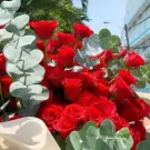 A large bouquet of red roses and eucalyptus.