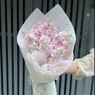 Gentle You 3