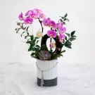 Orchid arrangement in a striped box with a succulent and decorative orbs.